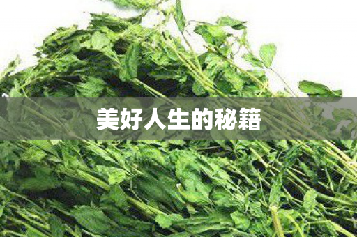 美好人生的秘籍