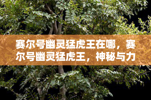 赛尔号幽灵猛虎王在哪图片