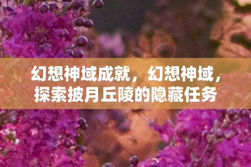 幻想神域成就，幻想神域，探索披月丘陵的隐藏任务