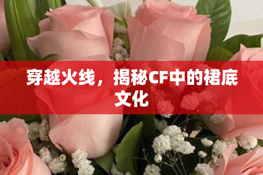 揭秘CF中的裙底文化图片
