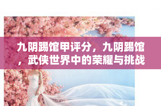 九阴踢馆甲评分，九阴踢馆，武侠世界中的荣耀与挑战