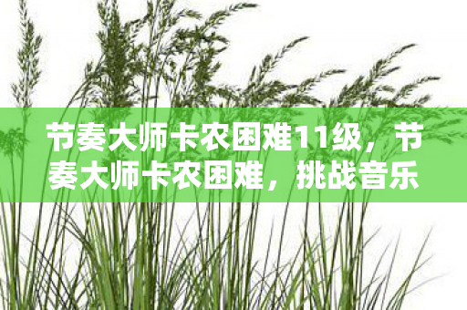 节奏大师卡农困难11级，节奏大师卡农困难，挑战音乐与节奏的极限