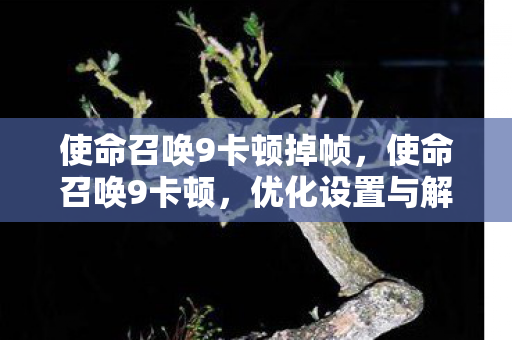 使命召唤9卡顿掉帧，使命召唤9卡顿，优化设置与解决方案