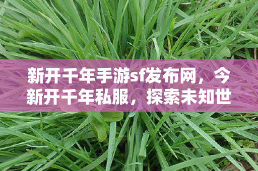 新开千年手游sf发布网图片