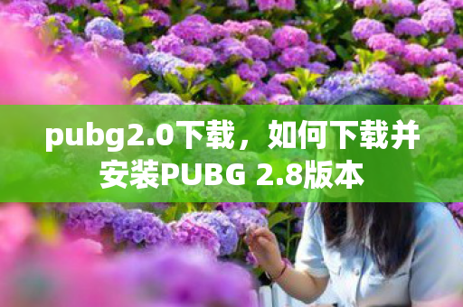 如何下载并安装PUBG 2图片