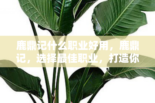 鹿鼎记什么职业好用图片