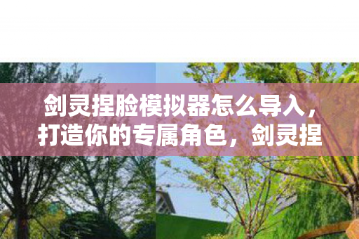 剑灵捏脸模拟器怎么导入图片