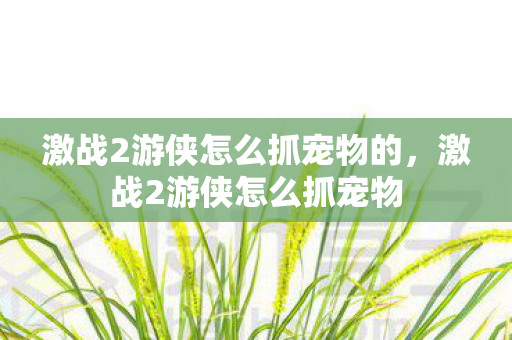 激战2游侠怎么抓宠物的图片