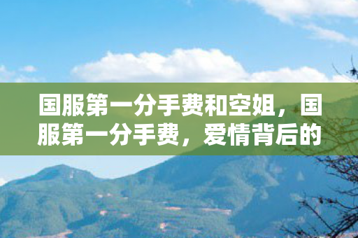 国服第一分手费和空姐图片