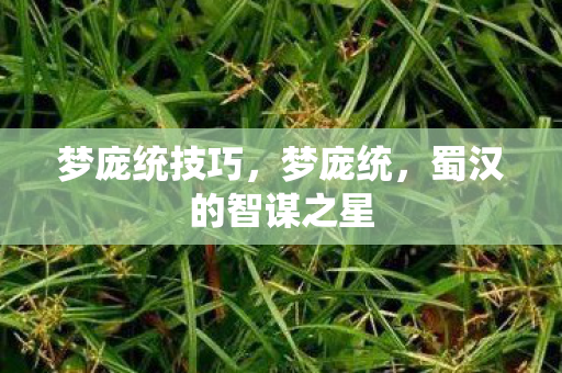 梦庞统技巧，梦庞统，蜀汉的智谋之星