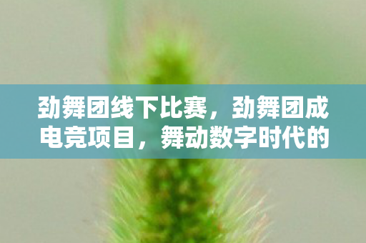 舞动数字时代的音乐节奏挑战图片