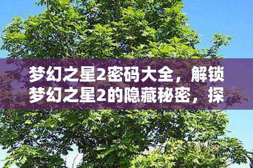 解锁梦幻之星2的隐藏秘密图片