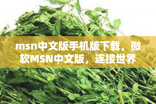 msn中文版手机版下载图片