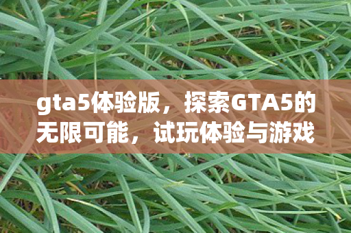 探索GTA5的无限可能图片