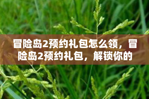 冒险岛2预约礼包怎么领图片