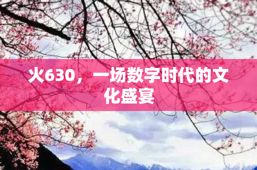 一场数字时代的文化盛宴图片