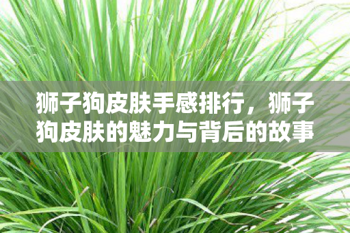 狮子狗皮肤的魅力与背后的故事图片