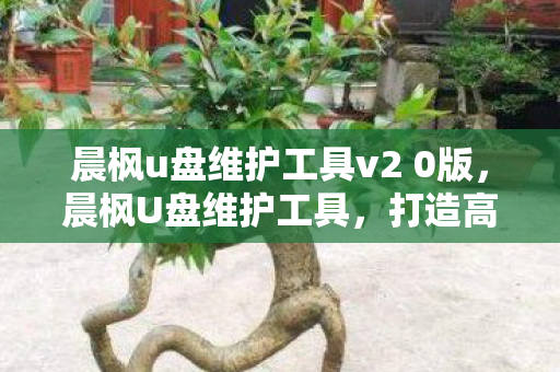 晨枫u盘维护工具v2 0版图片