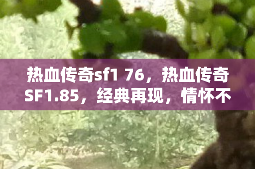 热血传奇sf1 76图片