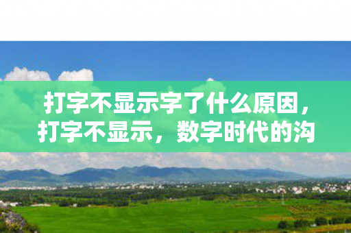 打字不显示字了什么原因图片