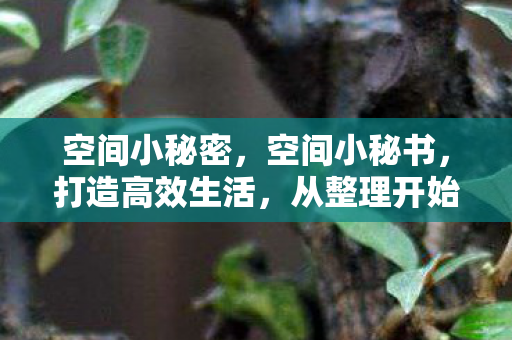 打造高效生活图片