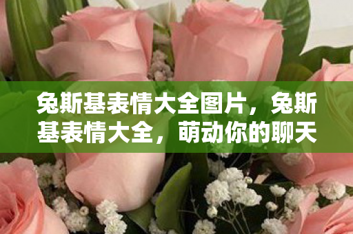 兔斯基表情大全图片图片