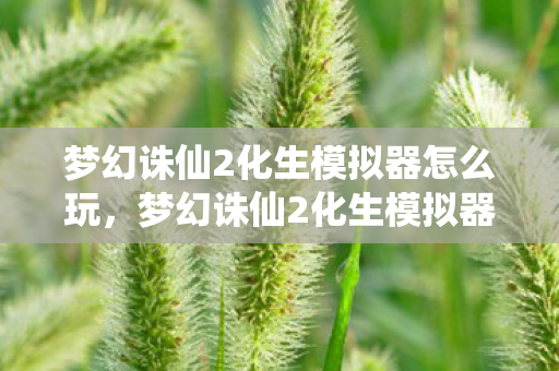 梦幻诛仙2化生模拟器怎么玩图片