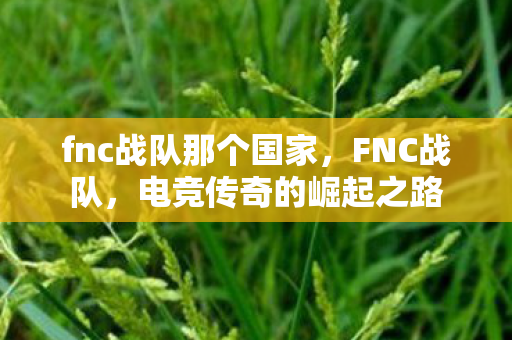 fnc战队那个国家图片