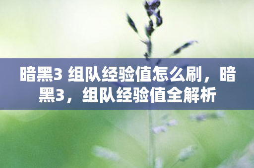 暗黑3 组队经验值怎么刷图片