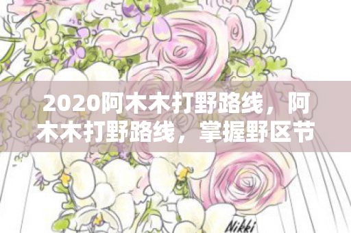 2020阿木木打野路线图片