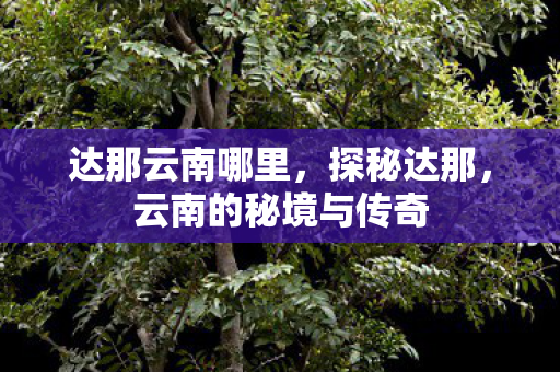 云南的秘境与传奇图片