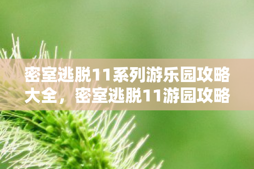 密室逃脱11系列游乐园攻略大全图片