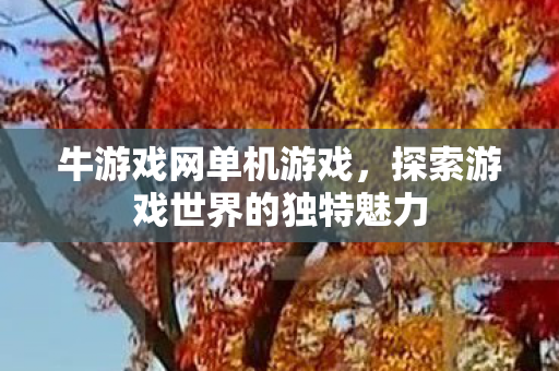 牛游戏网单机游戏，探索游戏世界的独特魅力