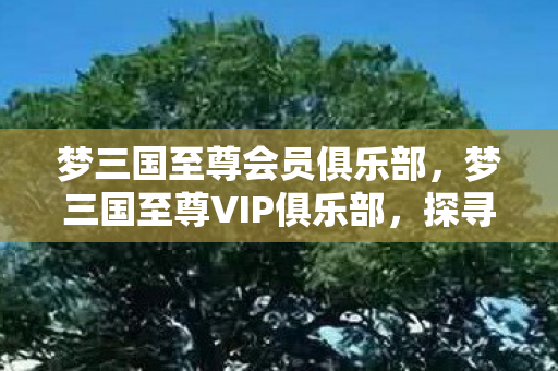 梦三国至尊会员俱乐部，梦三国至尊VIP俱乐部，探寻游戏中的荣耀与激情