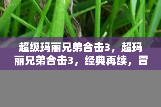 超级玛丽兄弟合击3图片