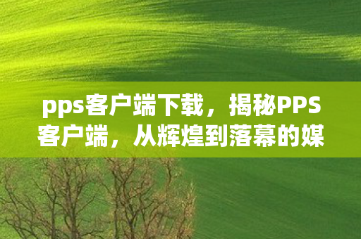 从辉煌到落幕的媒体播放软件图片