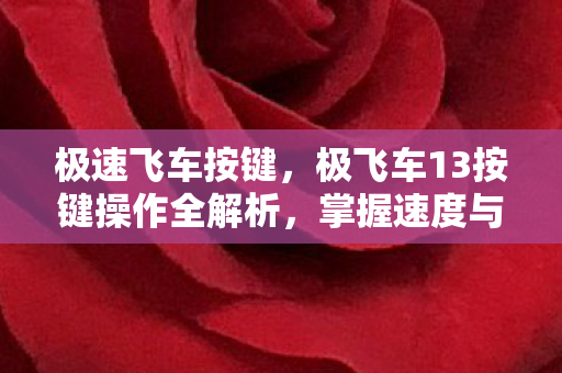 极飞车13按键操作全解析图片