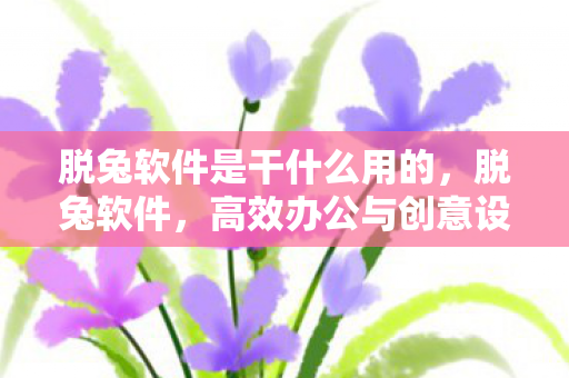 高效办公与创意设计的得力助手图片