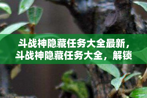斗战神隐藏任务大全最新图片