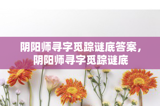 阴阳师寻字觅踪谜底答案图片