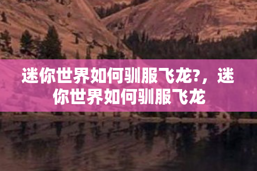 迷你世界如何驯服飞龙图片