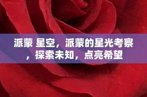 派蒙的星光考察图片