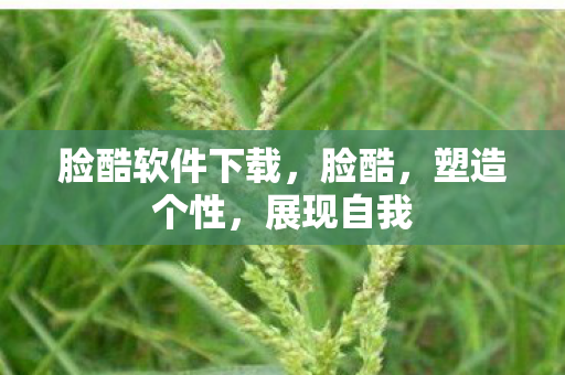 脸酷软件下载图片