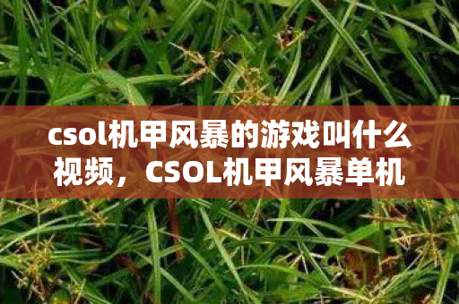 csol机甲风暴的游戏叫什么视频图片
