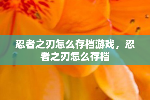 忍者之刃怎么存档游戏图片