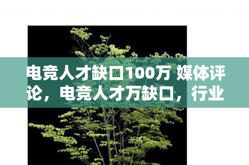 电竞人才缺口100万 媒体评论图片