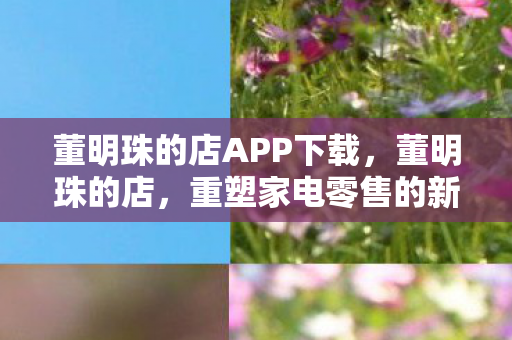 董明珠的店APP下载图片