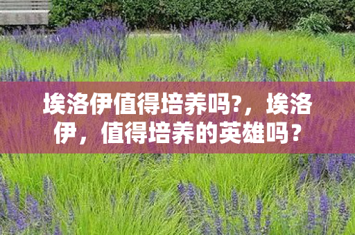 埃洛伊值得培养吗图片