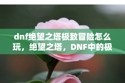 dnf绝望之塔极致冒险怎么玩图片