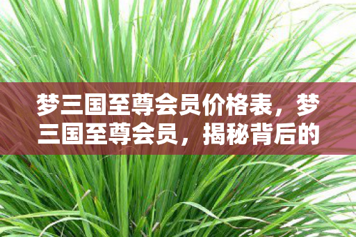 梦三国至尊会员价格表，梦三国至尊会员，揭秘背后的故事与特权体验